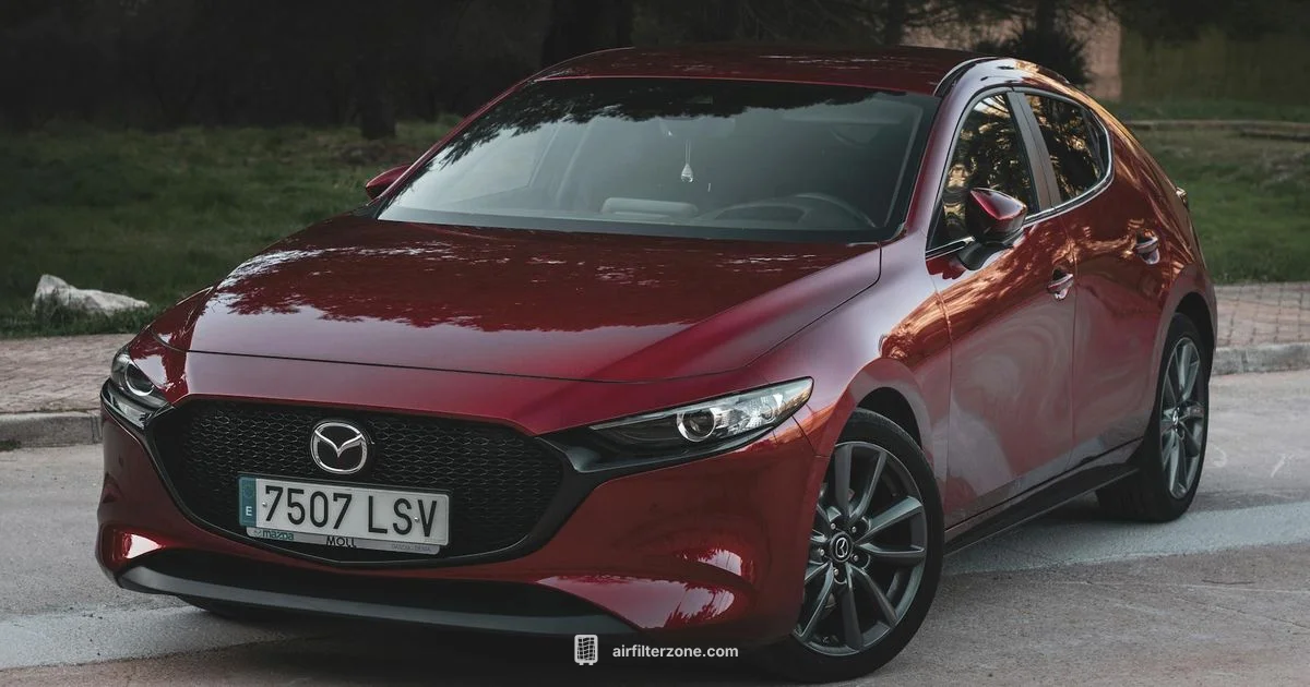 Cabin Filter Essentials - Air Filter Zone