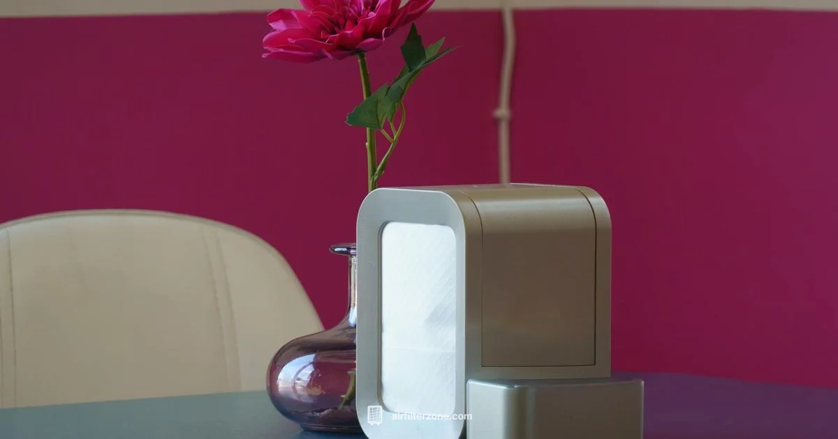 Best Value Air Purifier - Air Filter Zone