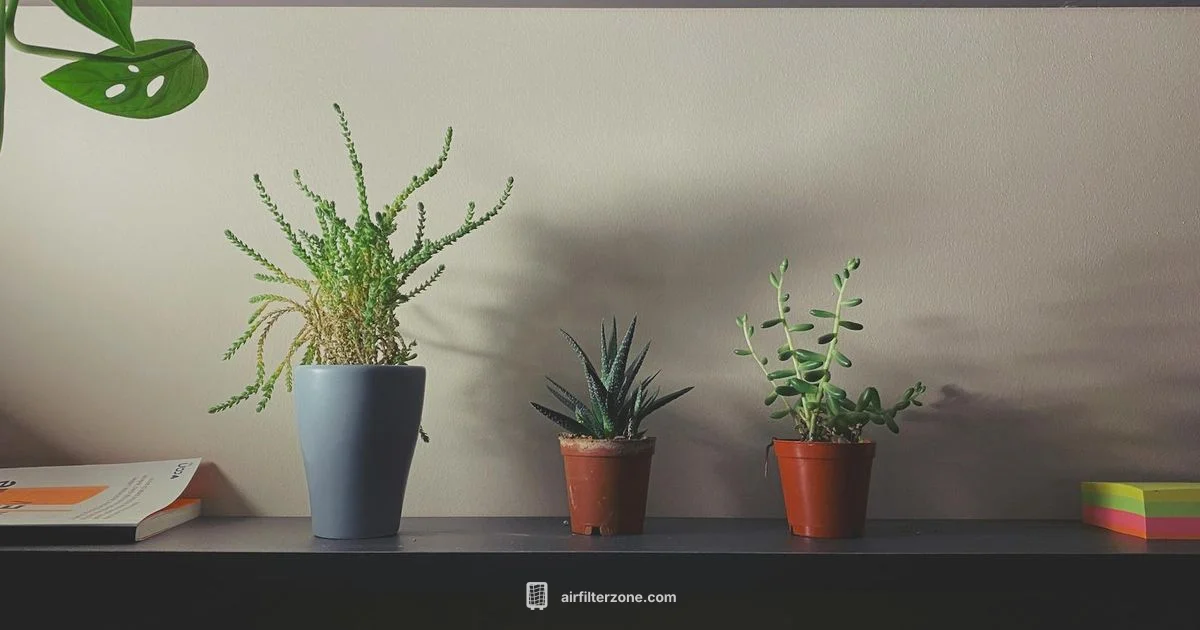 AC4825 Performance - Air Filter Zone