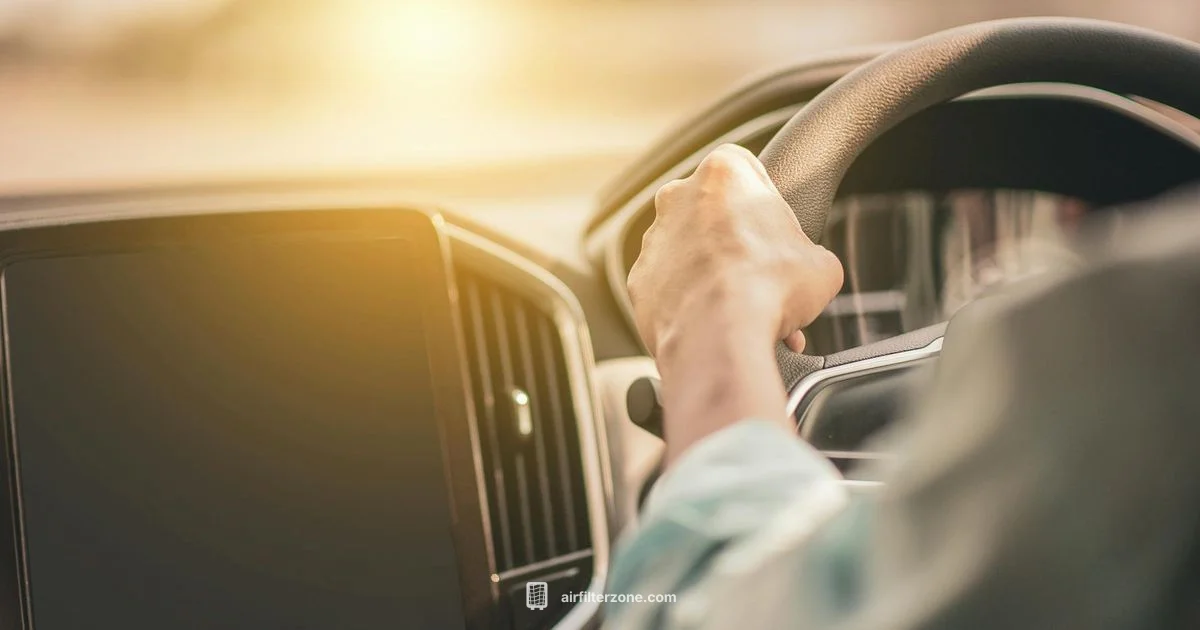 Fresh Cabin Air - Air Filter Zone