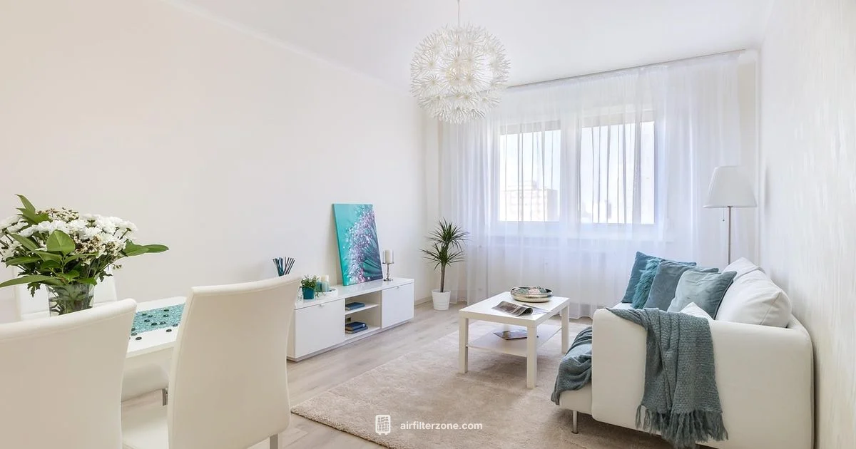 Air Purifier Timing - Air Filter Zone