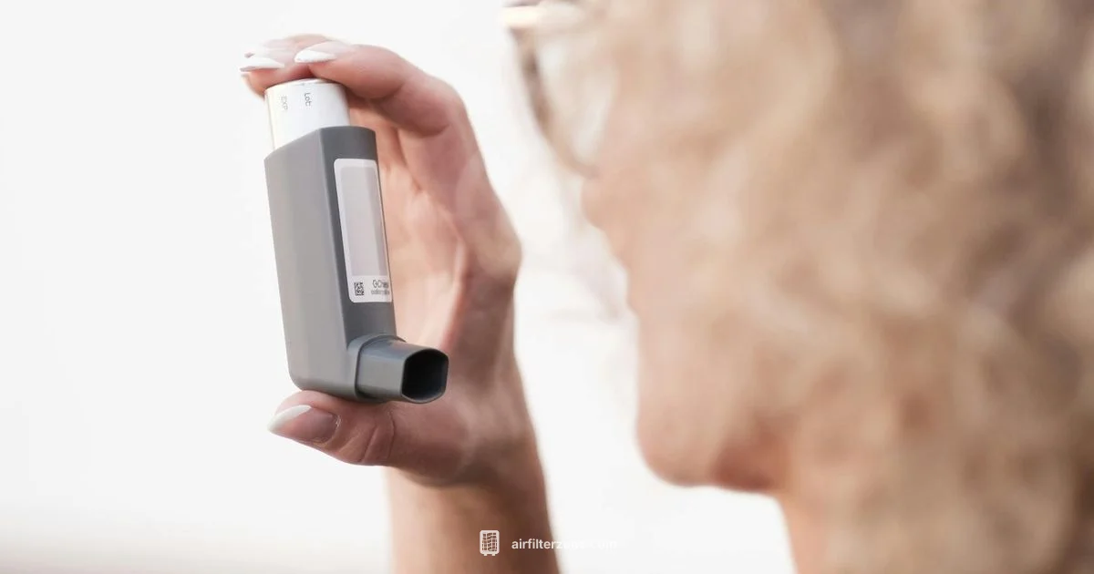 Asthma Air Purifier Asthma Air Purifier - Air Filter Zone