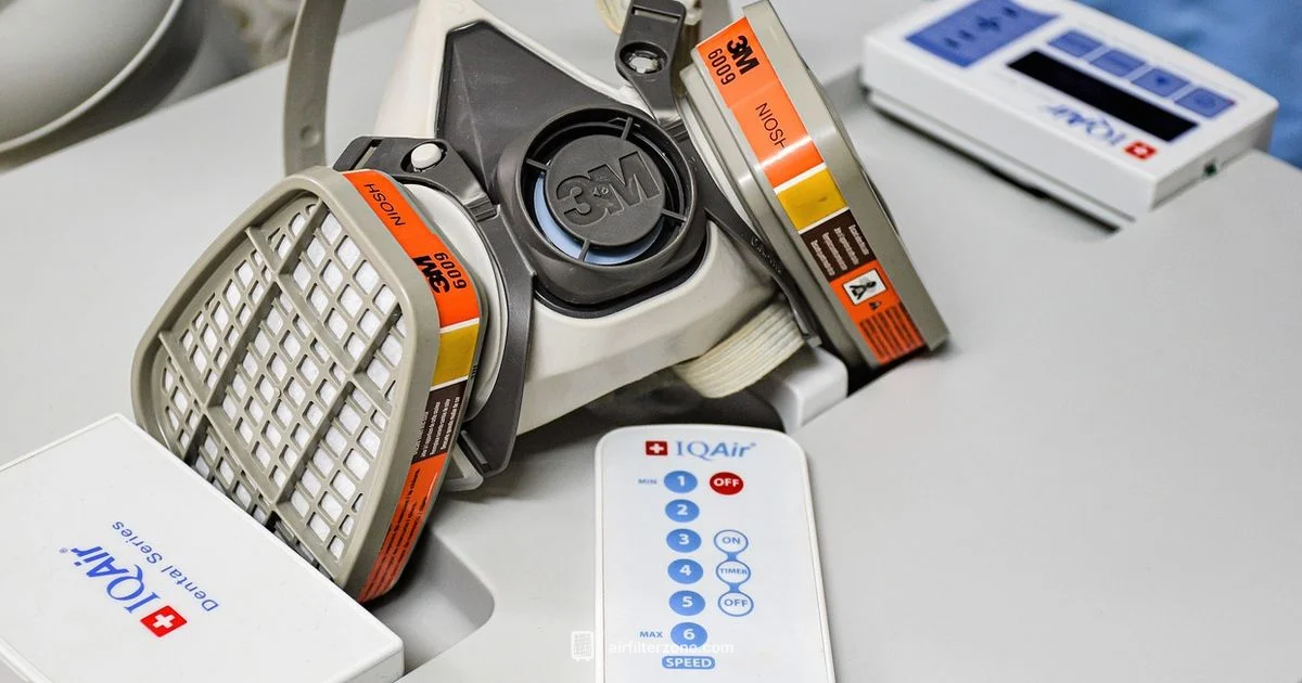 Mold-Free Living - Air Filter Zone