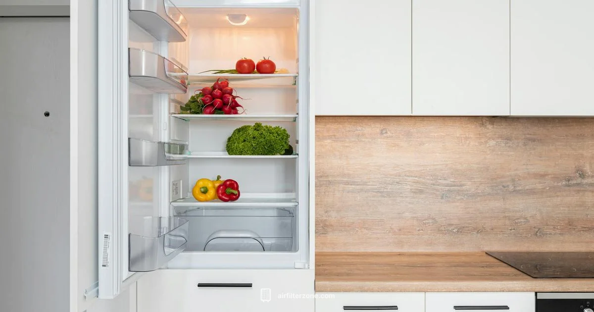 Fresh Air Filter LG Fresh Air Filter LG - Air Filter Zone