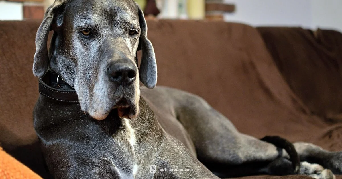 Dog Safe Purifier Dog Safe Purifier - Air Filter Zone