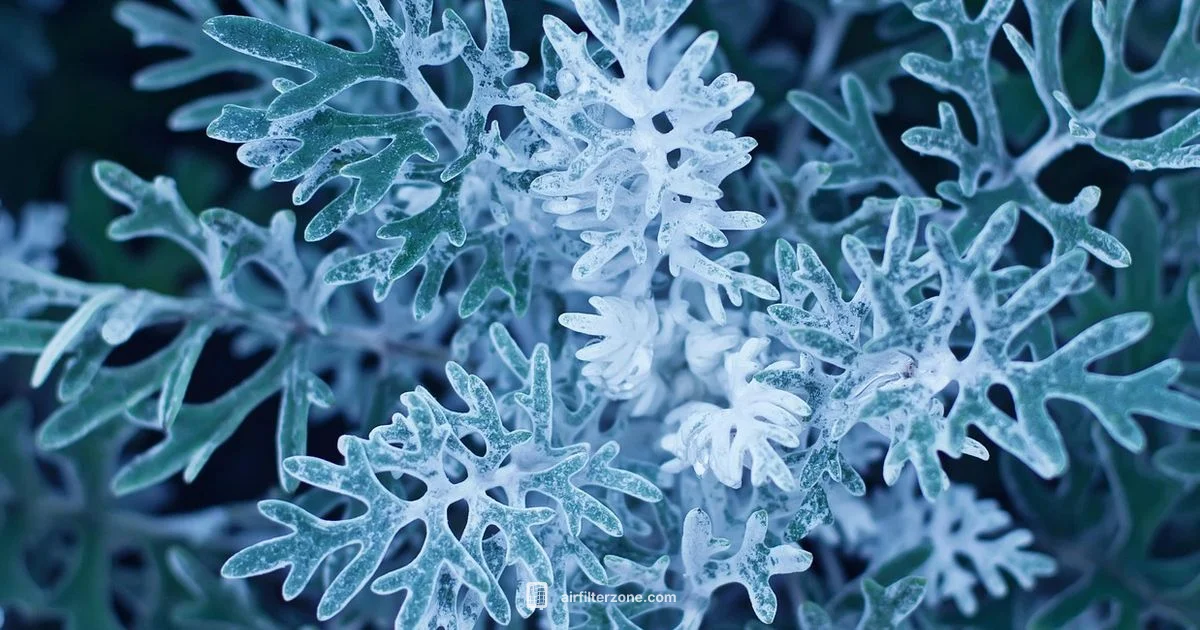 Visible Filter Damage Visible Filter Damage - Air Filter Zone