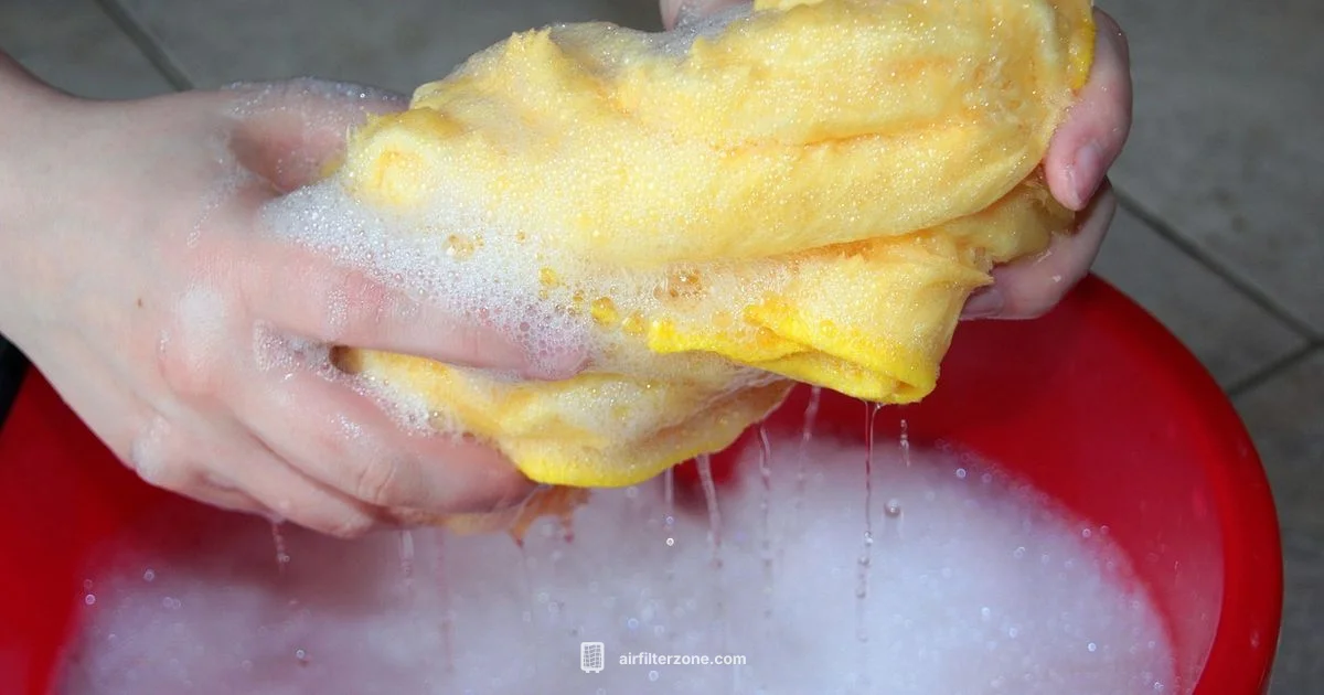 Wash Car Air Filter - Air Filter Zone