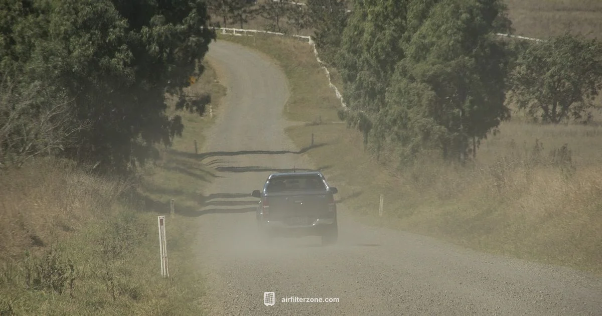 Dust-Free Living Dust-Free Living - Air Filter Zone