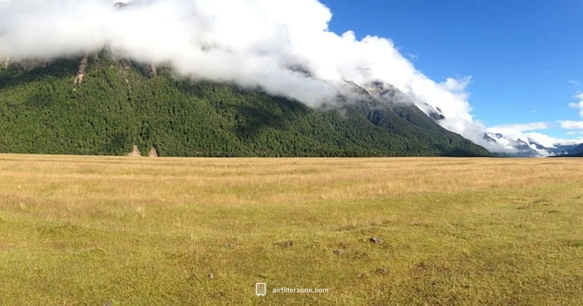 Winix Filter Guide Winix Filter Guide - Air Filter Zone