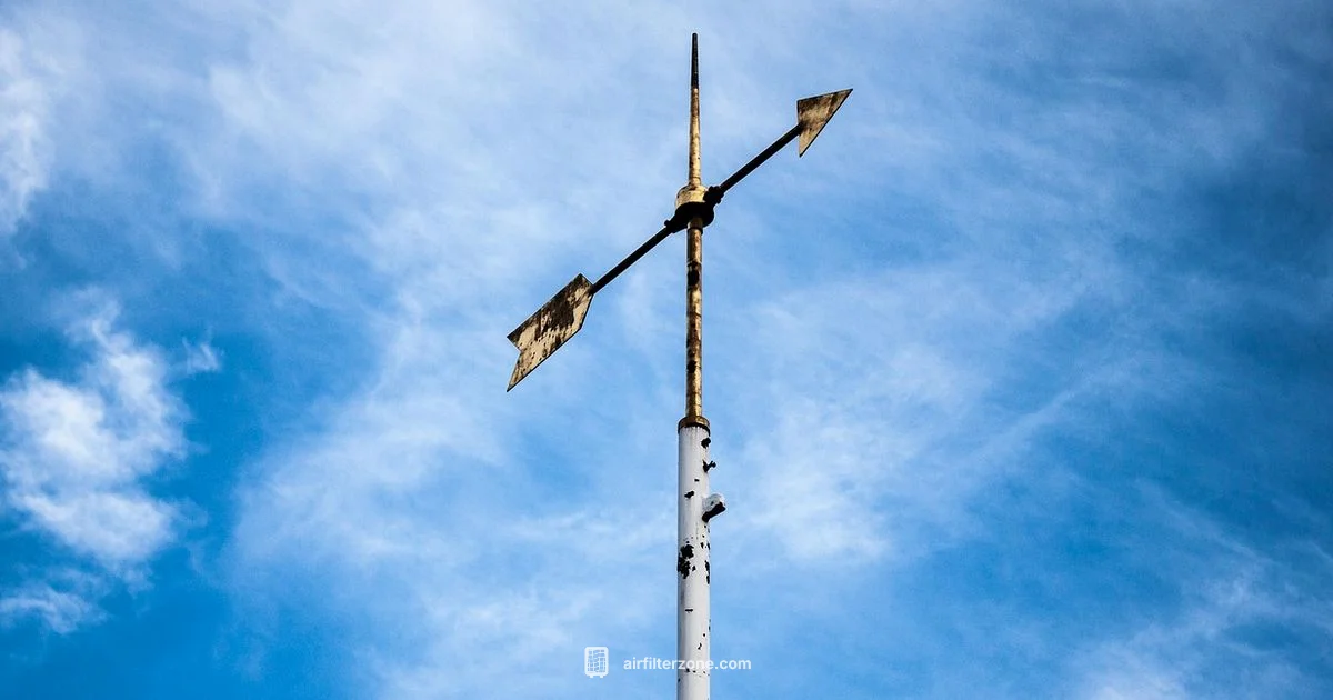 Arrow Orientation Guide Arrow Orientation Guide - Air Filter Zone