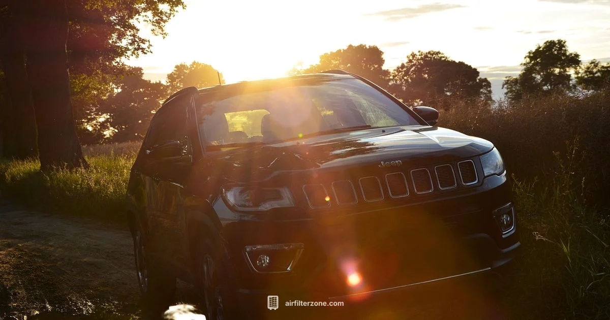 Cabin Air Filter Guide - Air Filter Zone