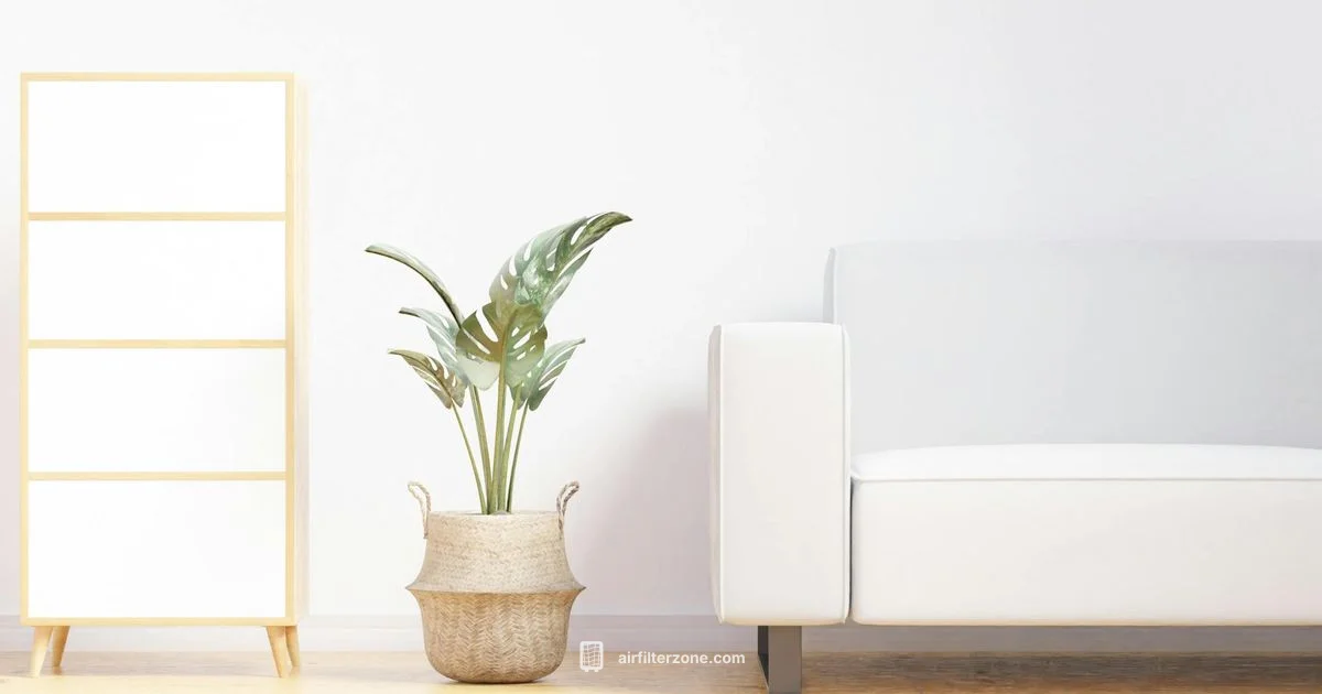 Clean Air at Home - Air Filter Zone