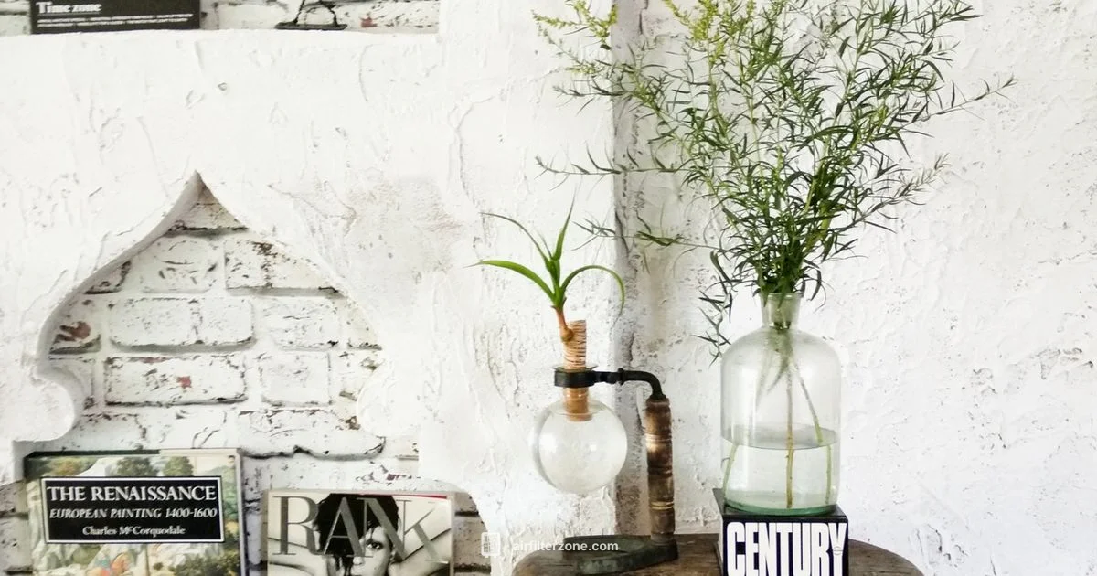 Nature Air Filter Guide - Air Filter Zone