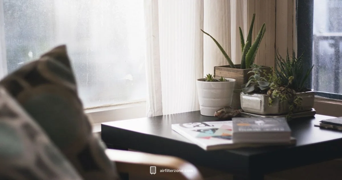 Clean Air on a Budget - Air Filter Zone