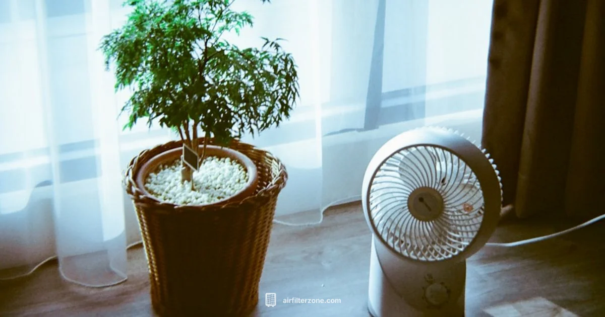 Dust Reduction Guide - Air Filter Zone