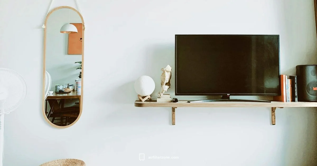 Best Buy Air Purifier - Air Filter Zone