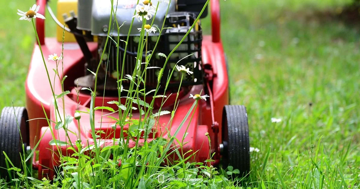 Toro 22 Recycler Filter - Air Filter Zone