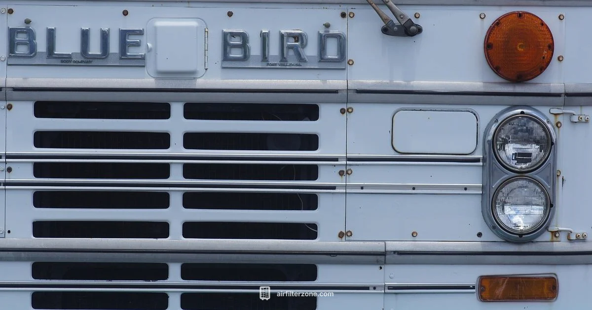 Non-Removal Cleaning - Air Filter Zone