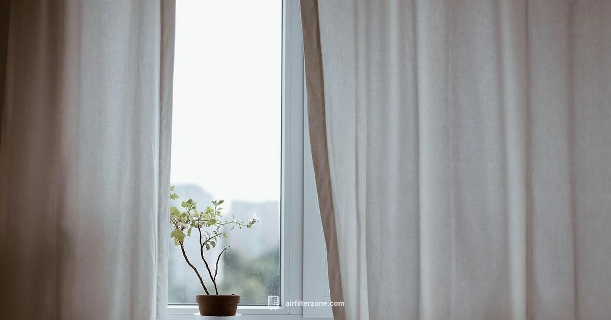 Natural Air Purifier Guide - Air Filter Zone