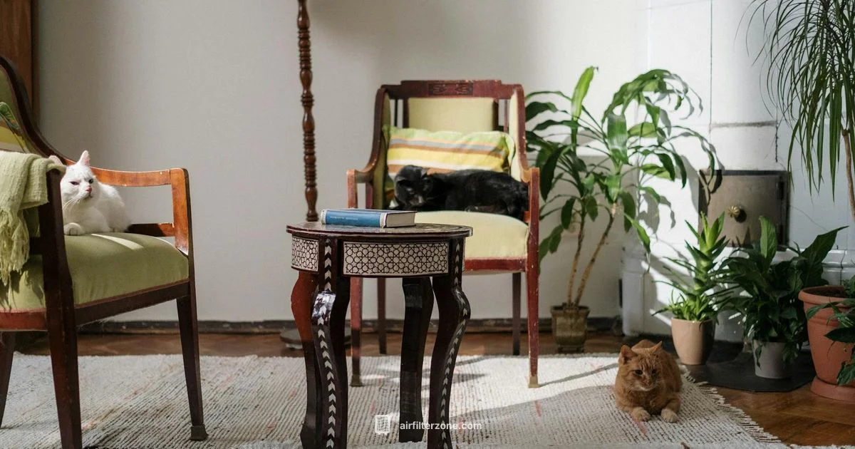 Cat Litter Purifier - Air Filter Zone