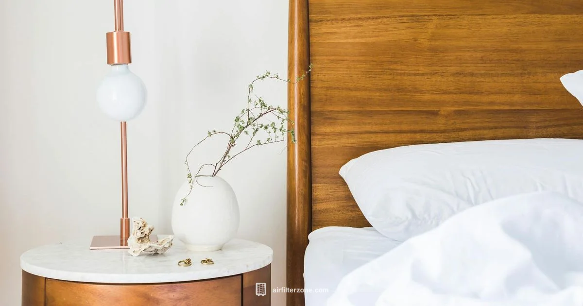 Ionic Pro Purifier - Air Filter Zone