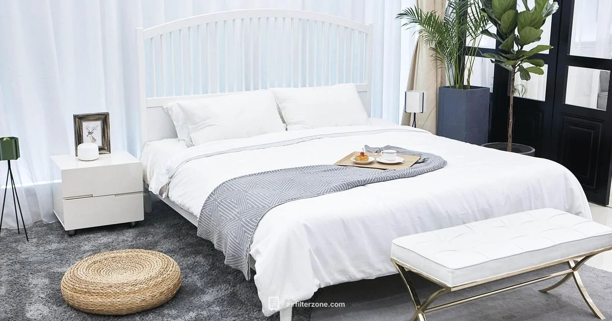 Healthy Indoor Air - Air Filter Zone