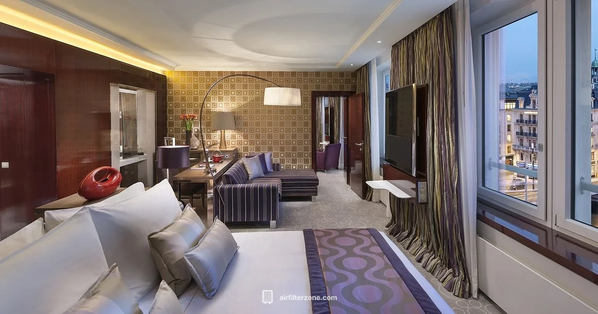 Air Ionizers Guide - Air Filter Zone