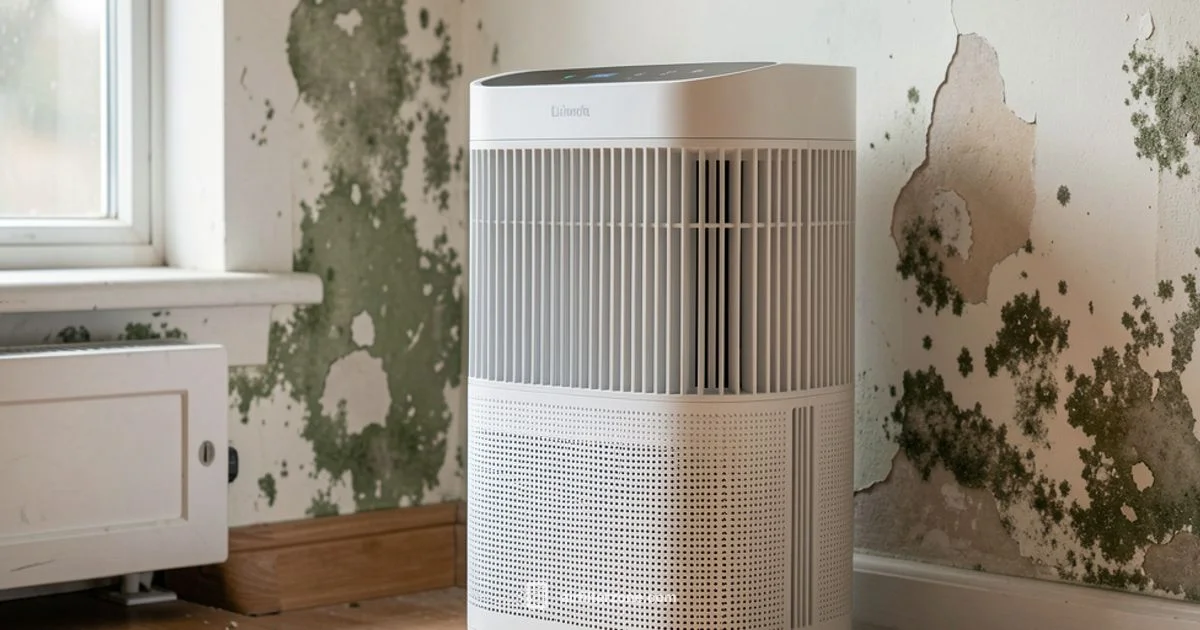 Mold and Air Filters Mold and Air Filters - Air Filter Zone