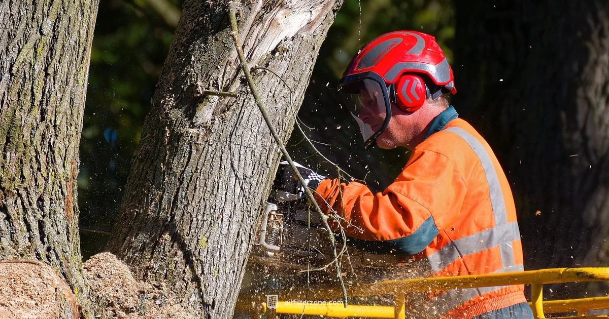 Chainsaw Air Filter Guide - Air Filter Zone