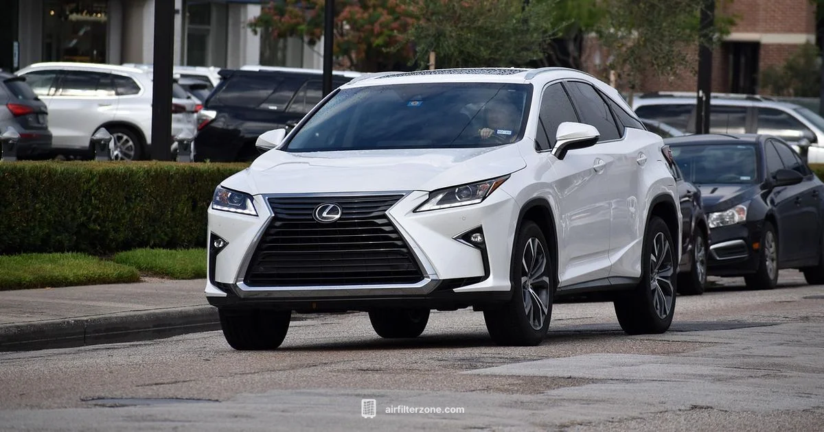 RX350 Air Filter - Air Filter Zone