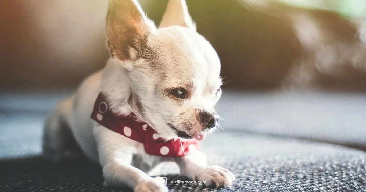 Smart Air Purifier - Air Filter Zone