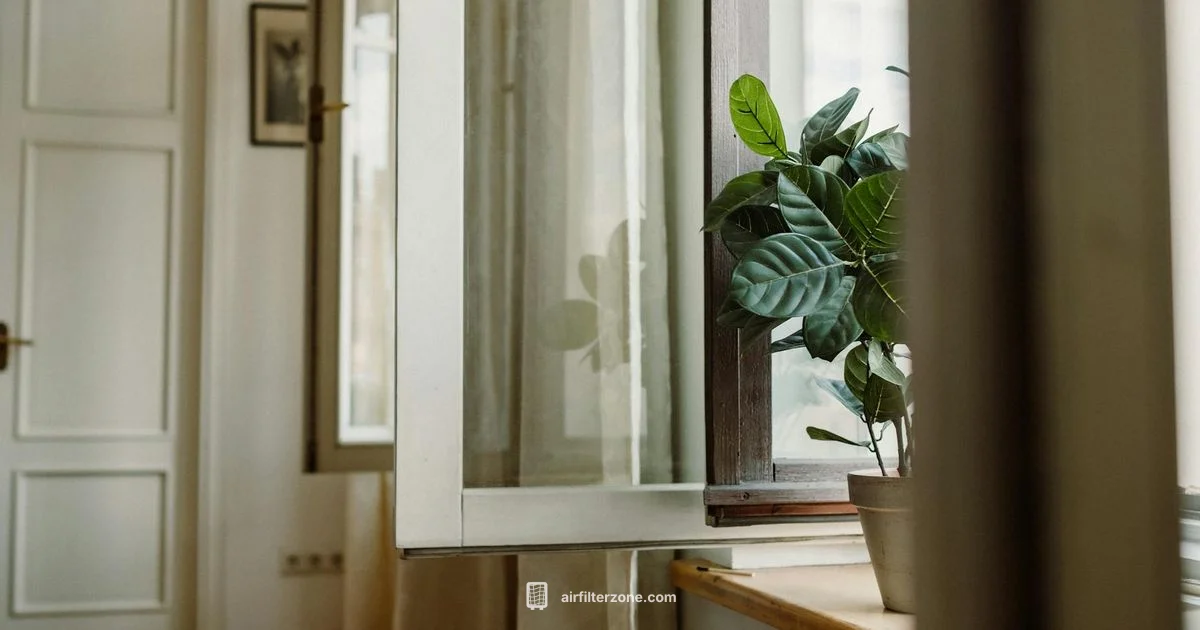 Woosh Air Primer - Air Filter Zone