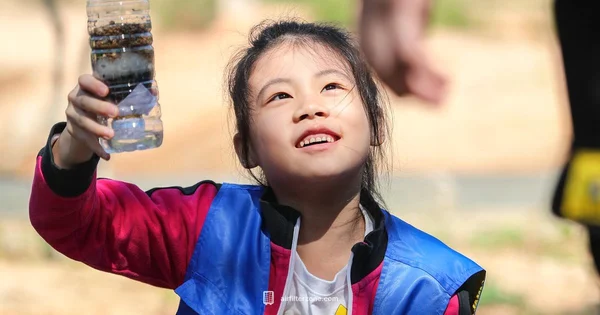 Reset Blue Filter Light - Air Filter Zone