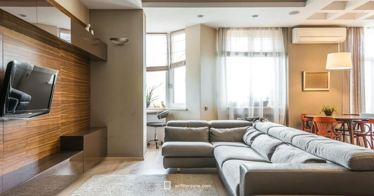 Clean Air Duo - Air Filter Zone