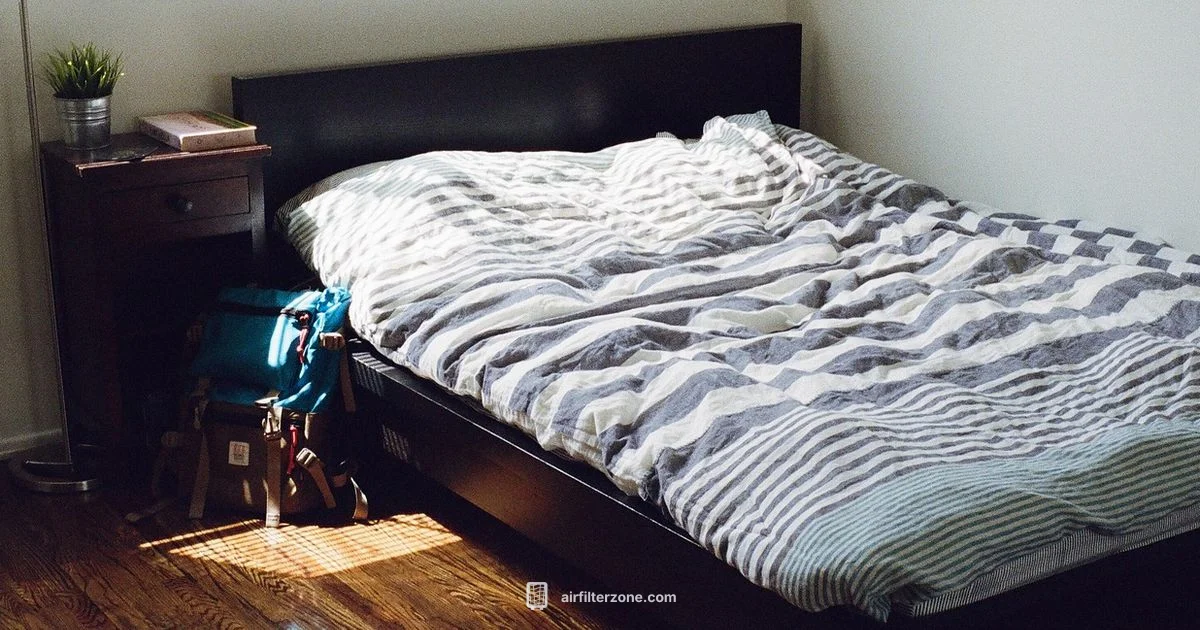 Quiet Sleep Purifier Quiet Sleep Purifier - Air Filter Zone