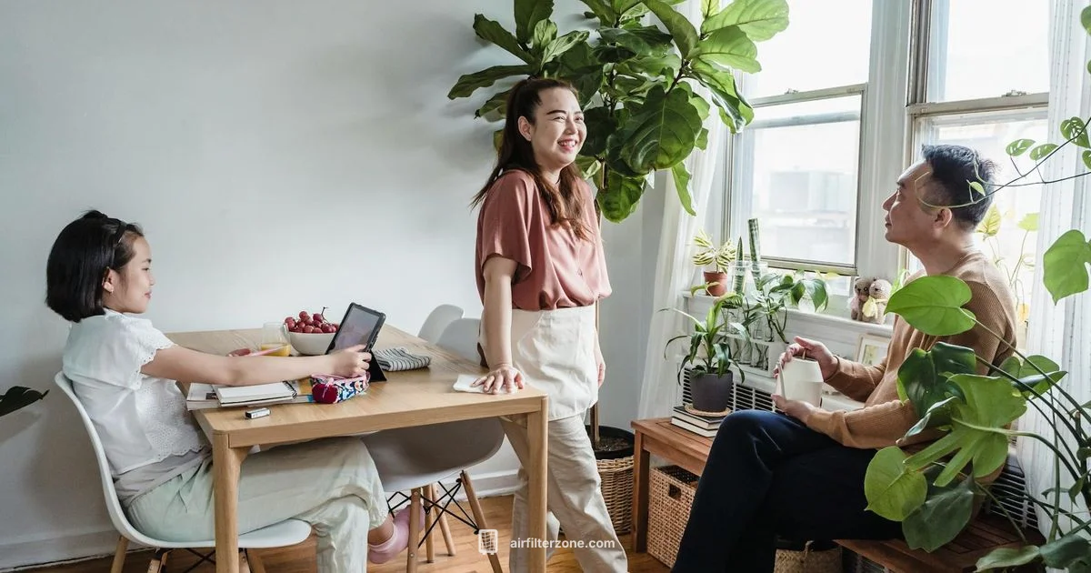 Fresh Air Modes - Air Filter Zone