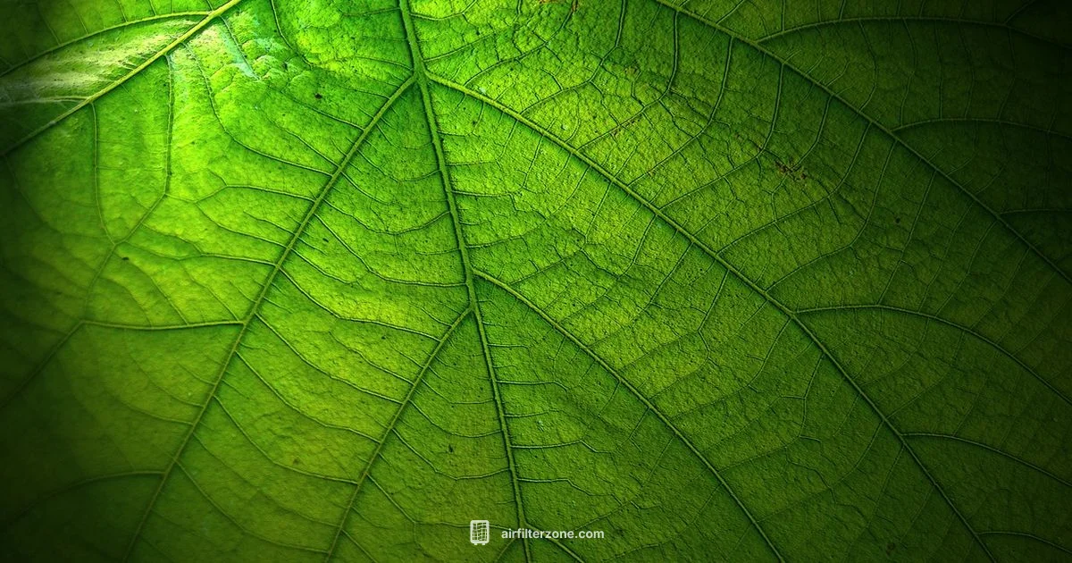 Air Filtration Basics - Air Filter Zone