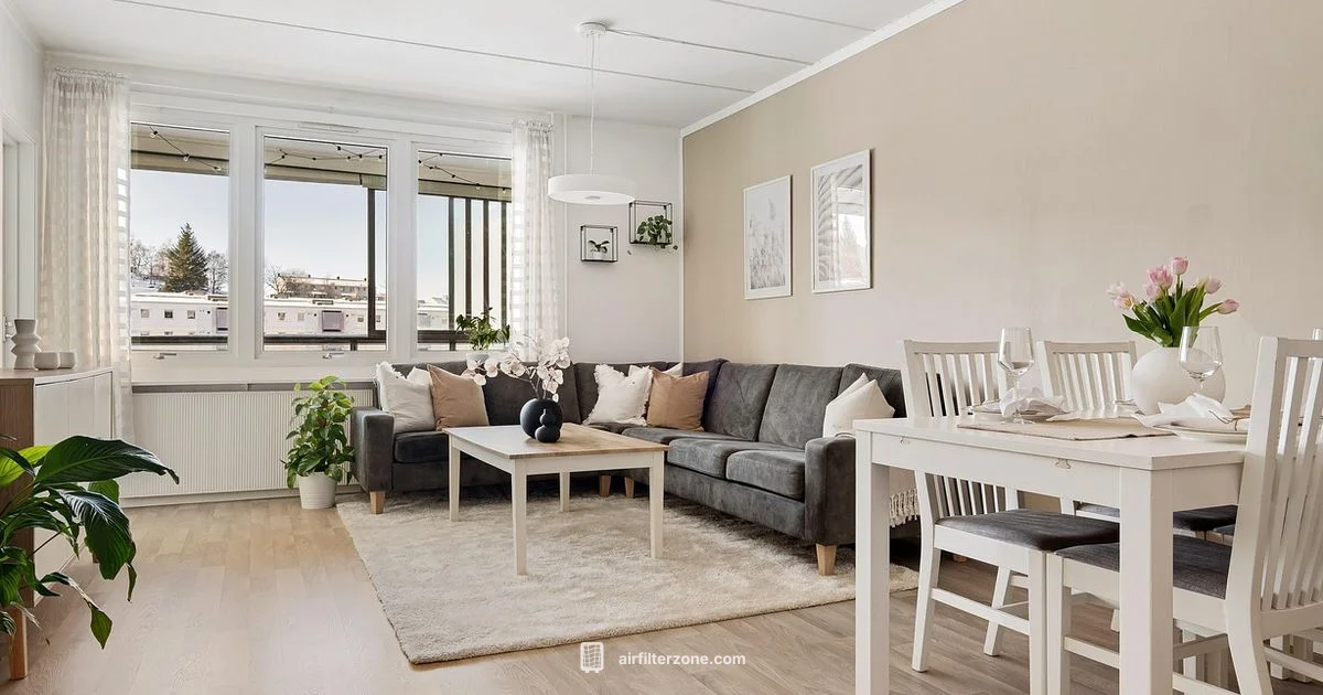 Air Purifier vs Humidifier Air Purifier vs Humidifier - Air Filter Zone