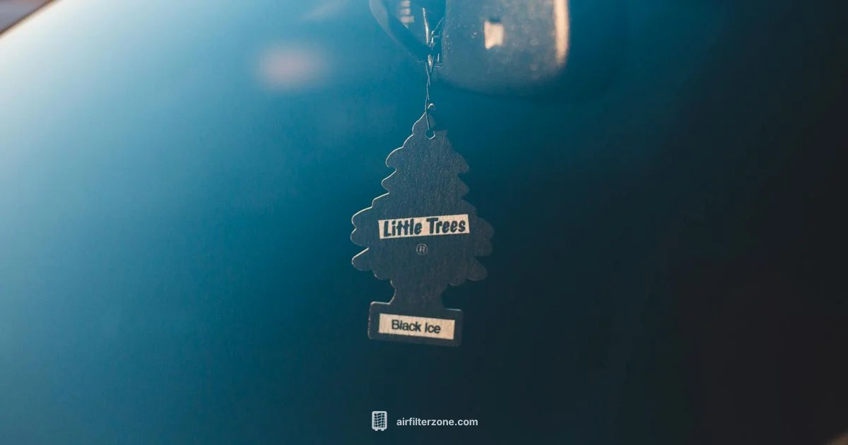 Cabin Filter Guide - Air Filter Zone