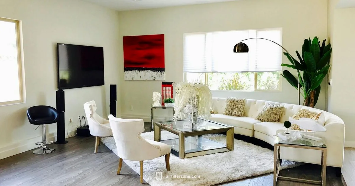 Ionic Filter Review - Air Filter Zone