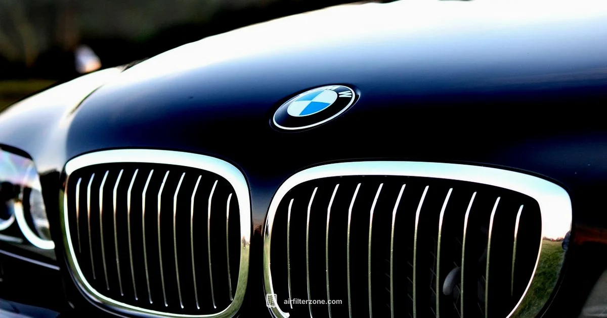 Oil Coated Filter - Air Filter Zone