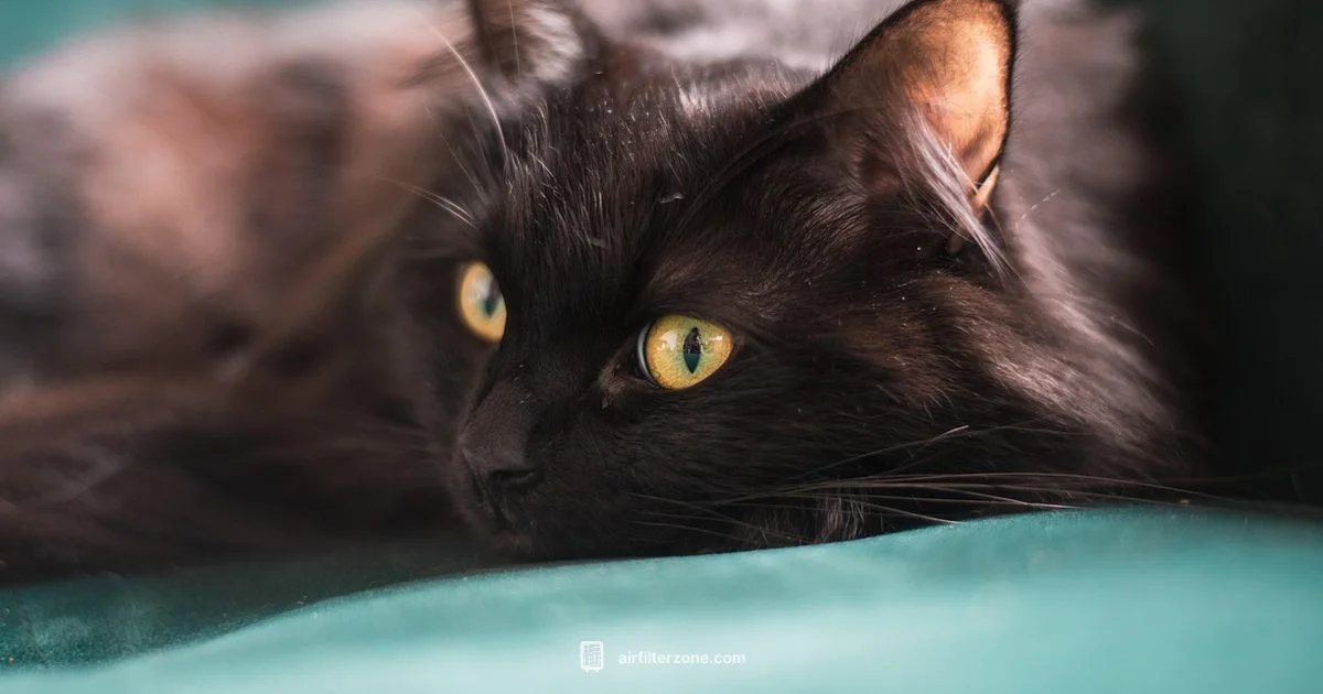 Cat Safe Purifier Cat Safe Purifier - Air Filter Zone