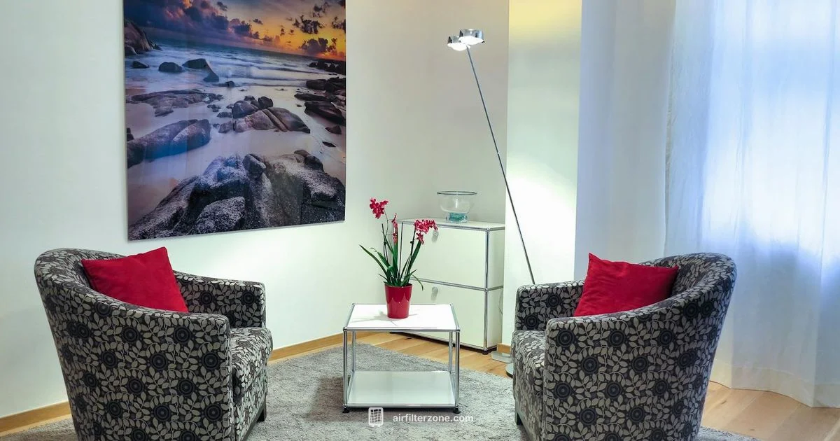 Humidifier Air Purifier - Air Filter Zone