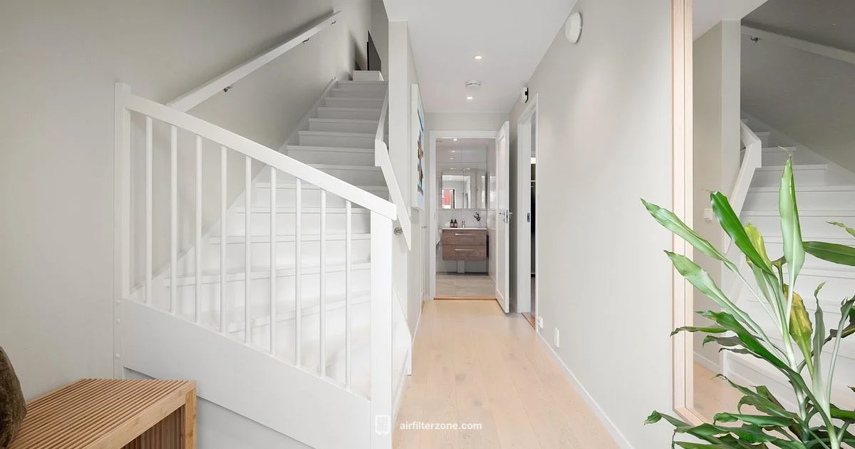 Levoit Purifier Guide - Air Filter Zone