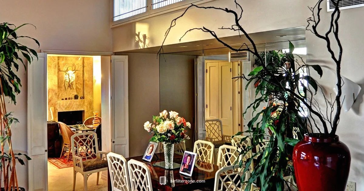 Clean Air Filter Guide - Air Filter Zone