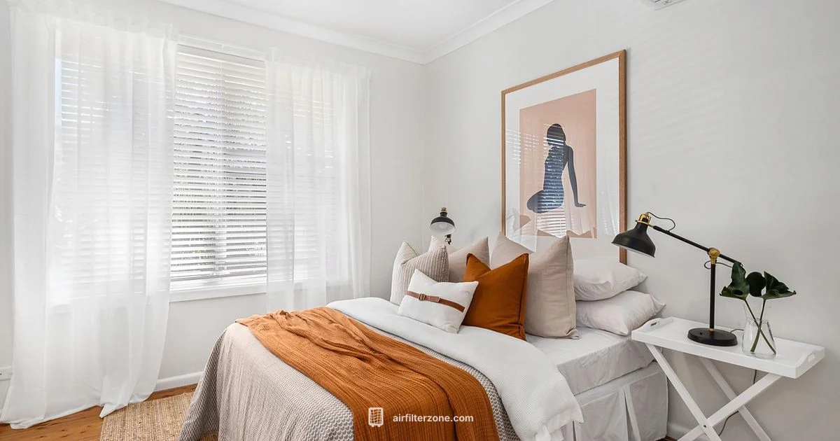 Smartmi Review - Air Filter Zone