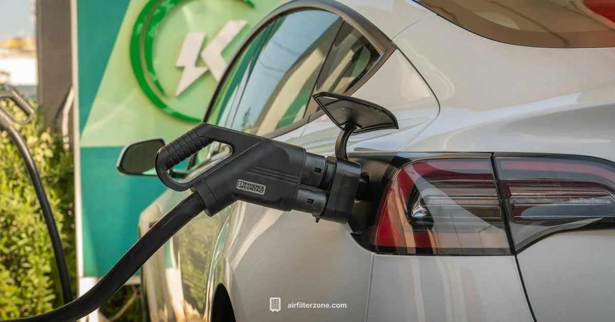 Model 3 Cabin Filter - Air Filter Zone