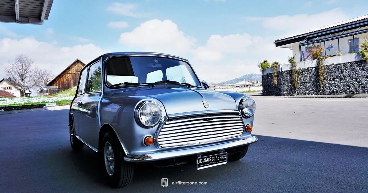 Mini Air Filter Guide - Air Filter Zone