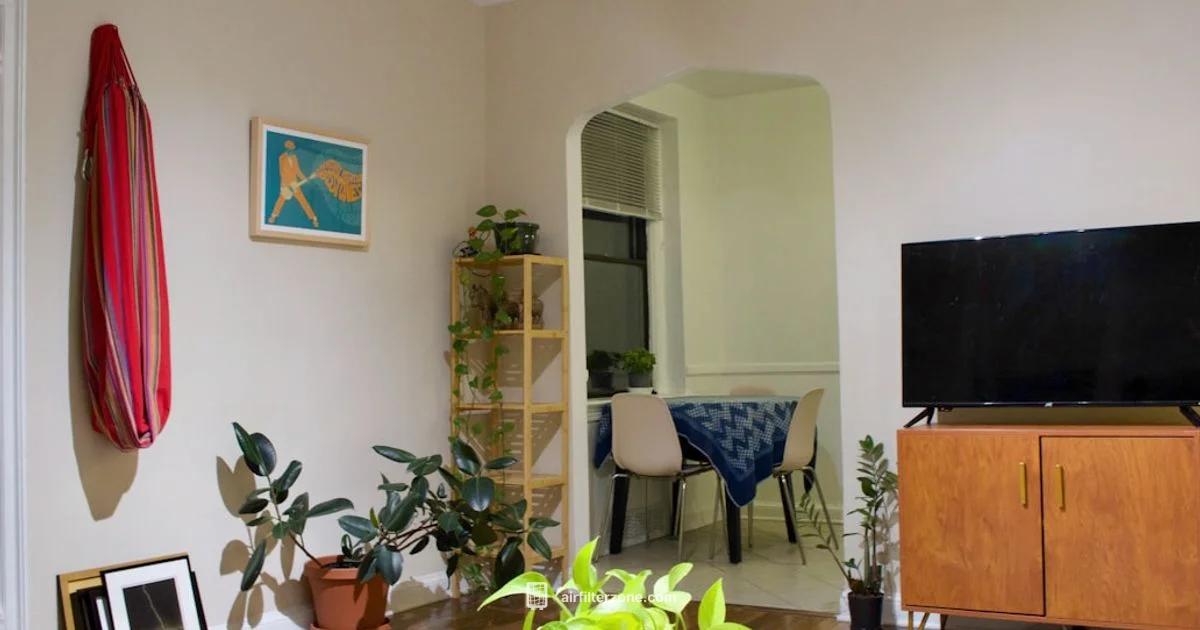 Odor Elimination Guide - Air Filter Zone