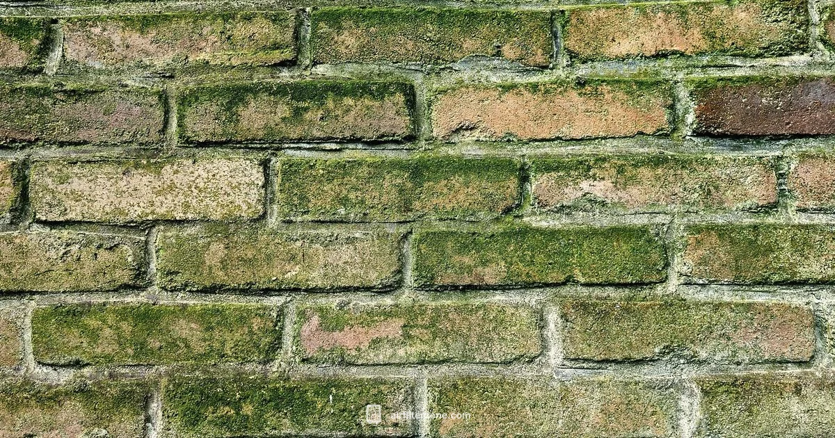 Mold Control Guide Mold Control Guide - Air Filter Zone